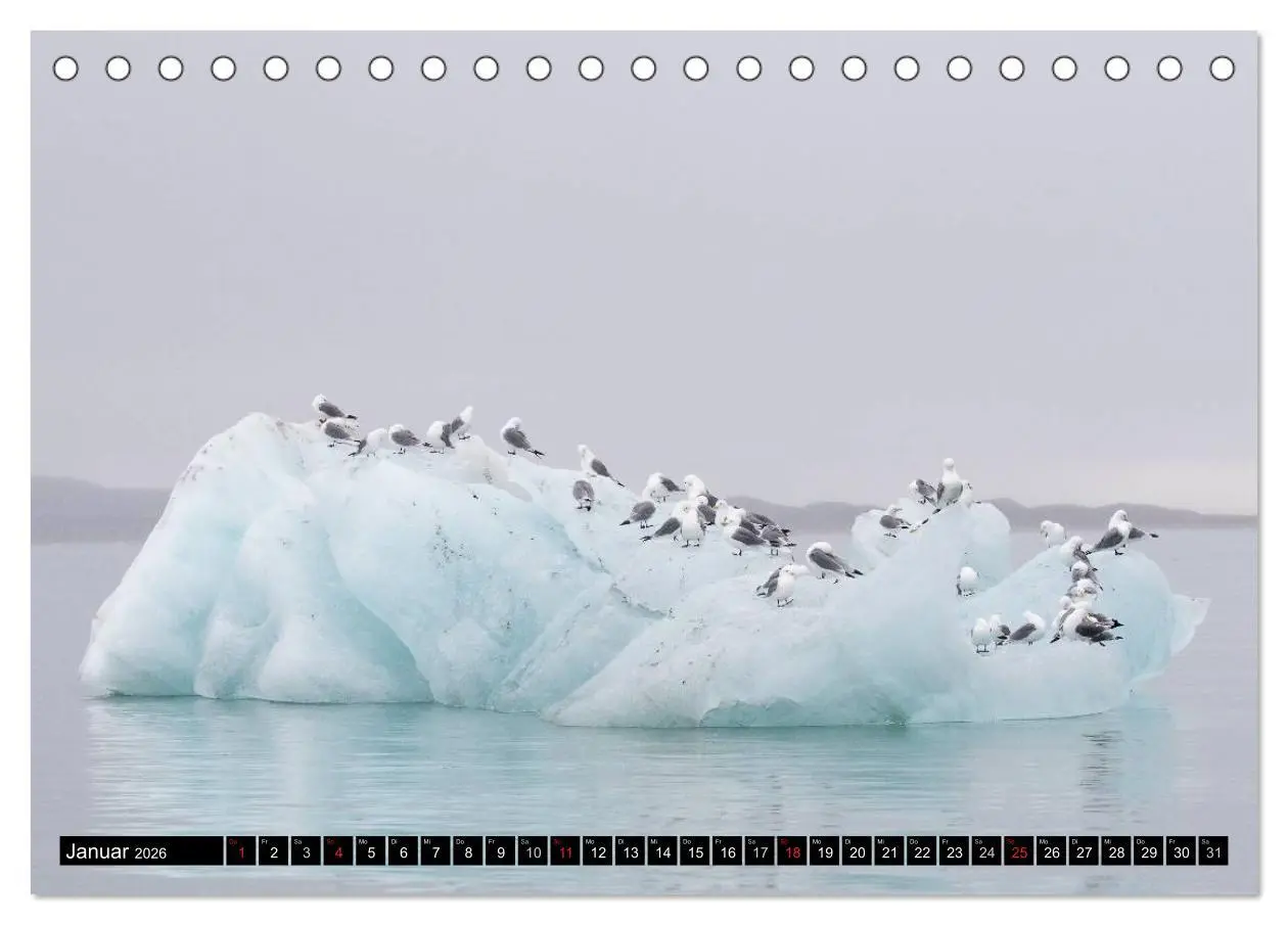 Bild: 9783457972809 | Spitzbergen - Arktische Impressionen (Tischkalender 2026 DIN A5...