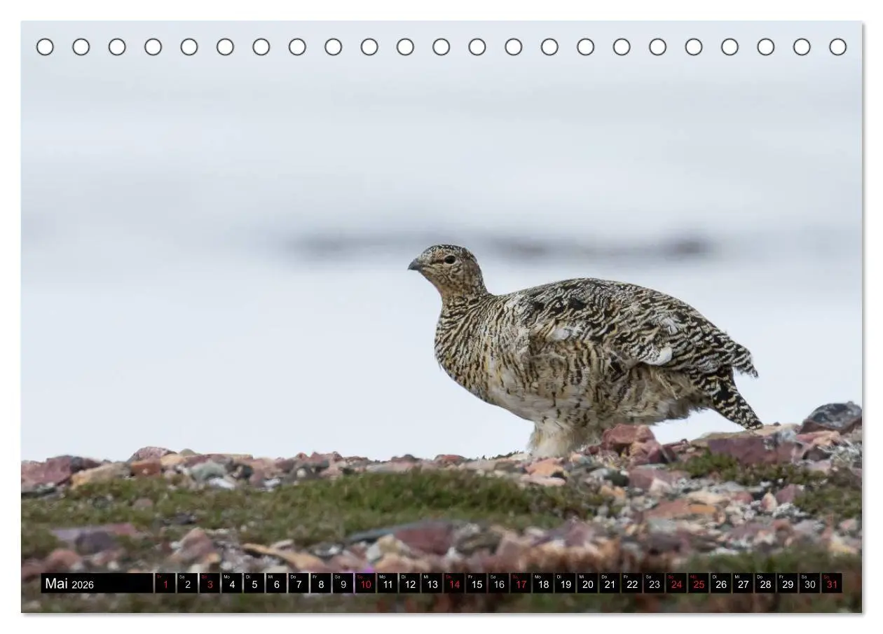 Bild: 9783457972809 | Spitzbergen - Arktische Impressionen (Tischkalender 2026 DIN A5...