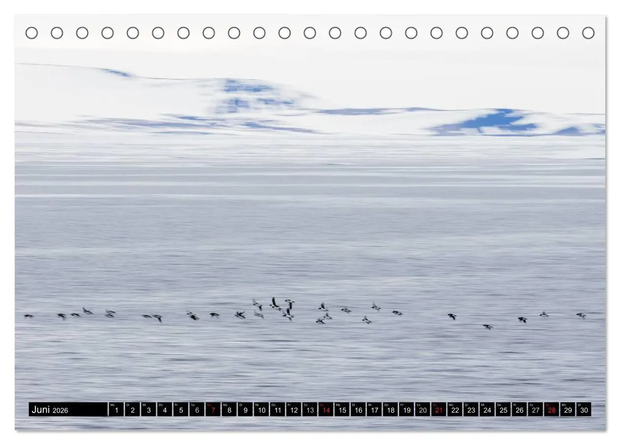 Bild: 9783457972809 | Spitzbergen - Arktische Impressionen (Tischkalender 2026 DIN A5...