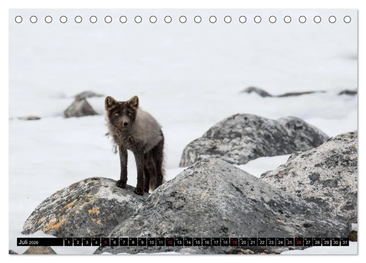Bild: 9783457972809 | Spitzbergen - Arktische Impressionen (Tischkalender 2026 DIN A5...