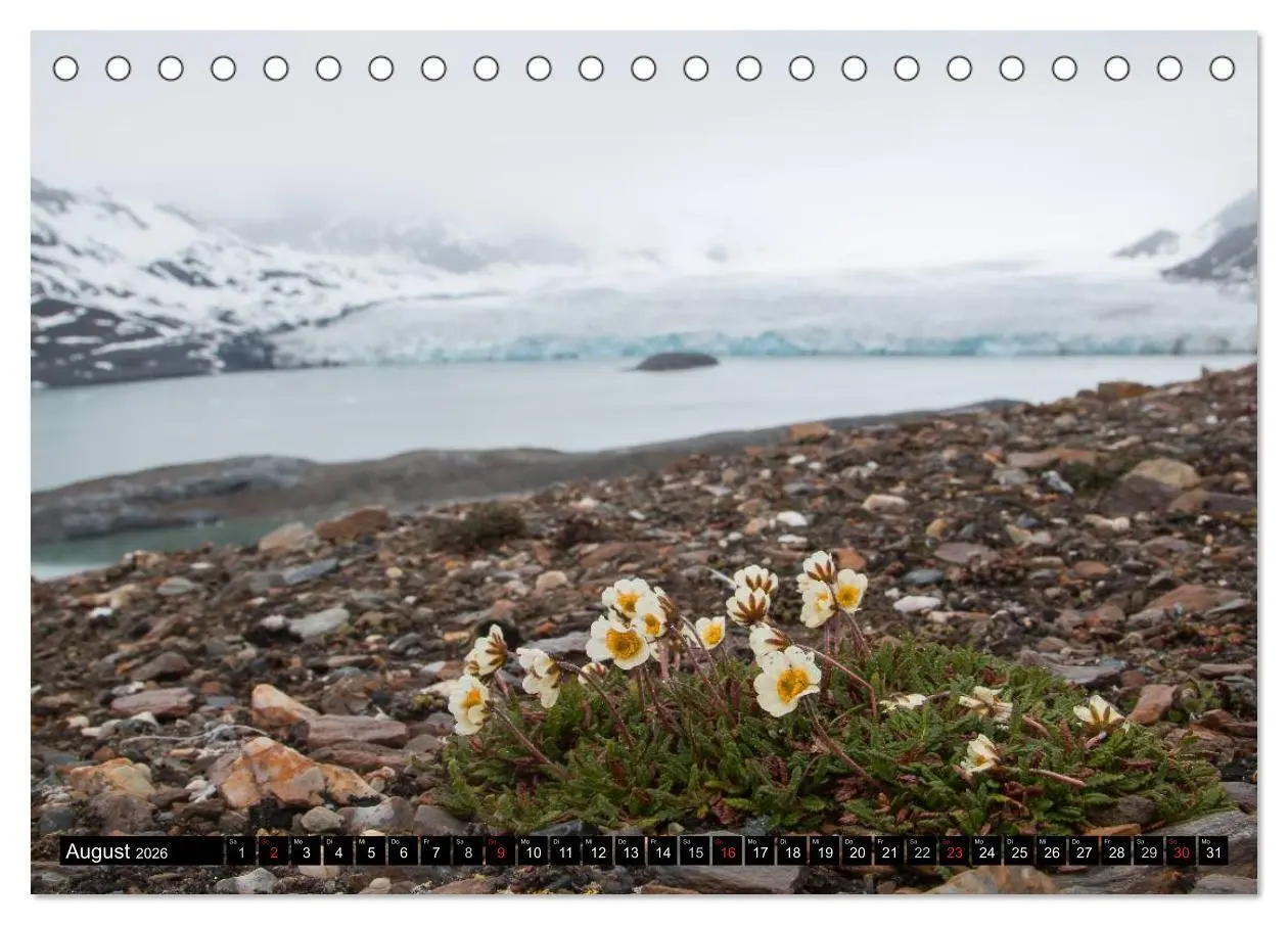 Bild: 9783457972809 | Spitzbergen - Arktische Impressionen (Tischkalender 2026 DIN A5...