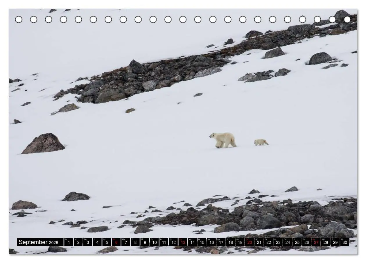 Bild: 9783457972809 | Spitzbergen - Arktische Impressionen (Tischkalender 2026 DIN A5...