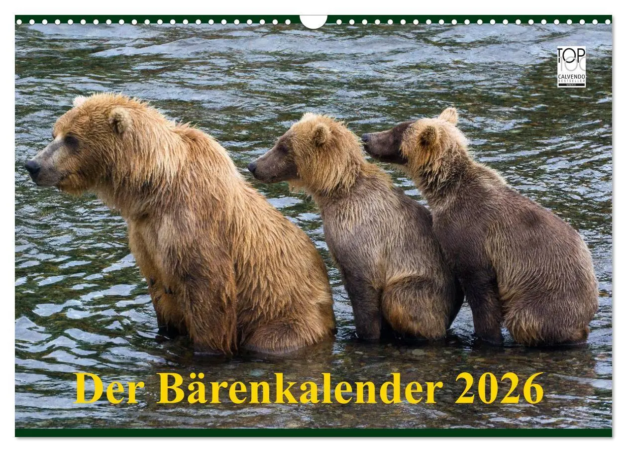 Cover: 9783516202809 | Der Bärenkalender 2026 (Wandkalender 2026 DIN A3 quer), CALVENDO...