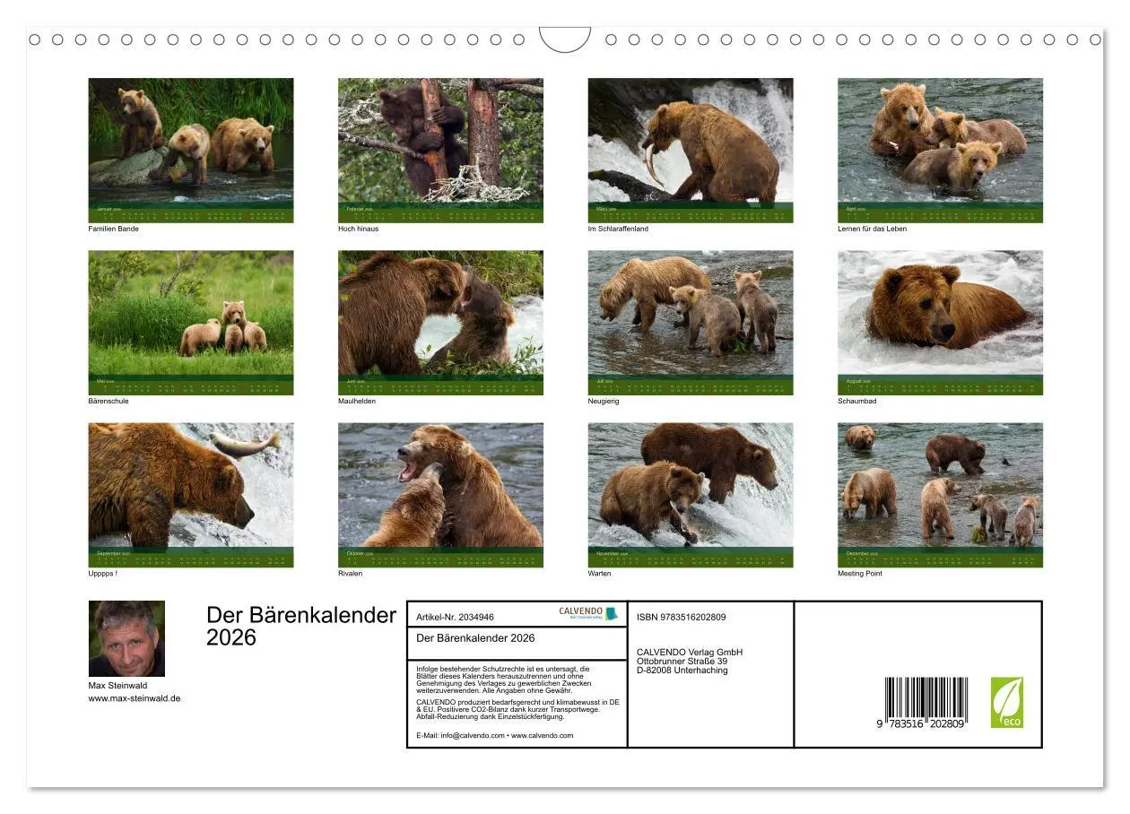 Bild: 9783516202809 | Der Bärenkalender 2026 (Wandkalender 2026 DIN A3 quer), CALVENDO...