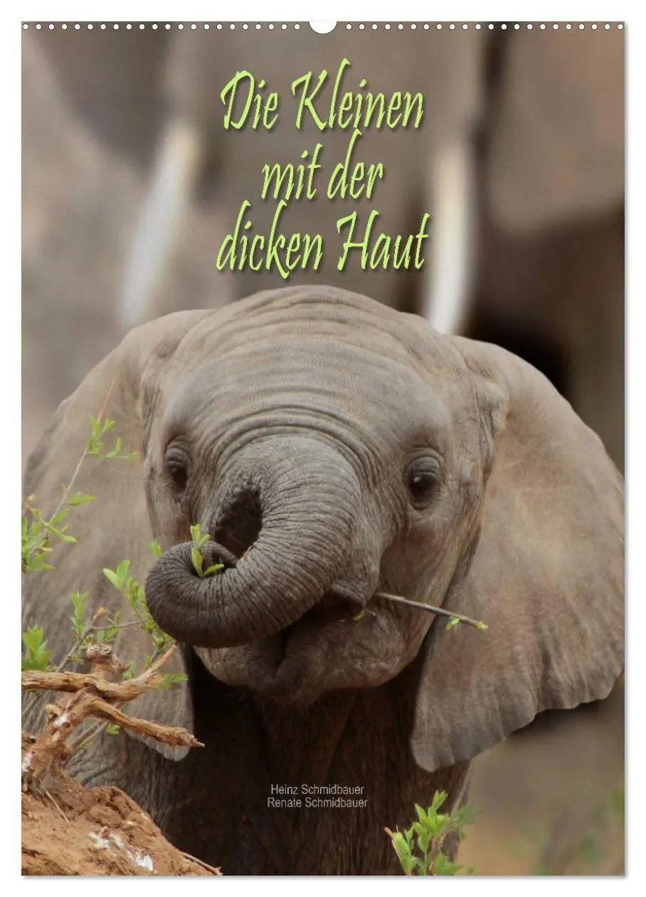 Cover: 9783516442809 | Die Kleinen mit der dicken Haut (Wandkalender 2026 DIN A2 hoch),...