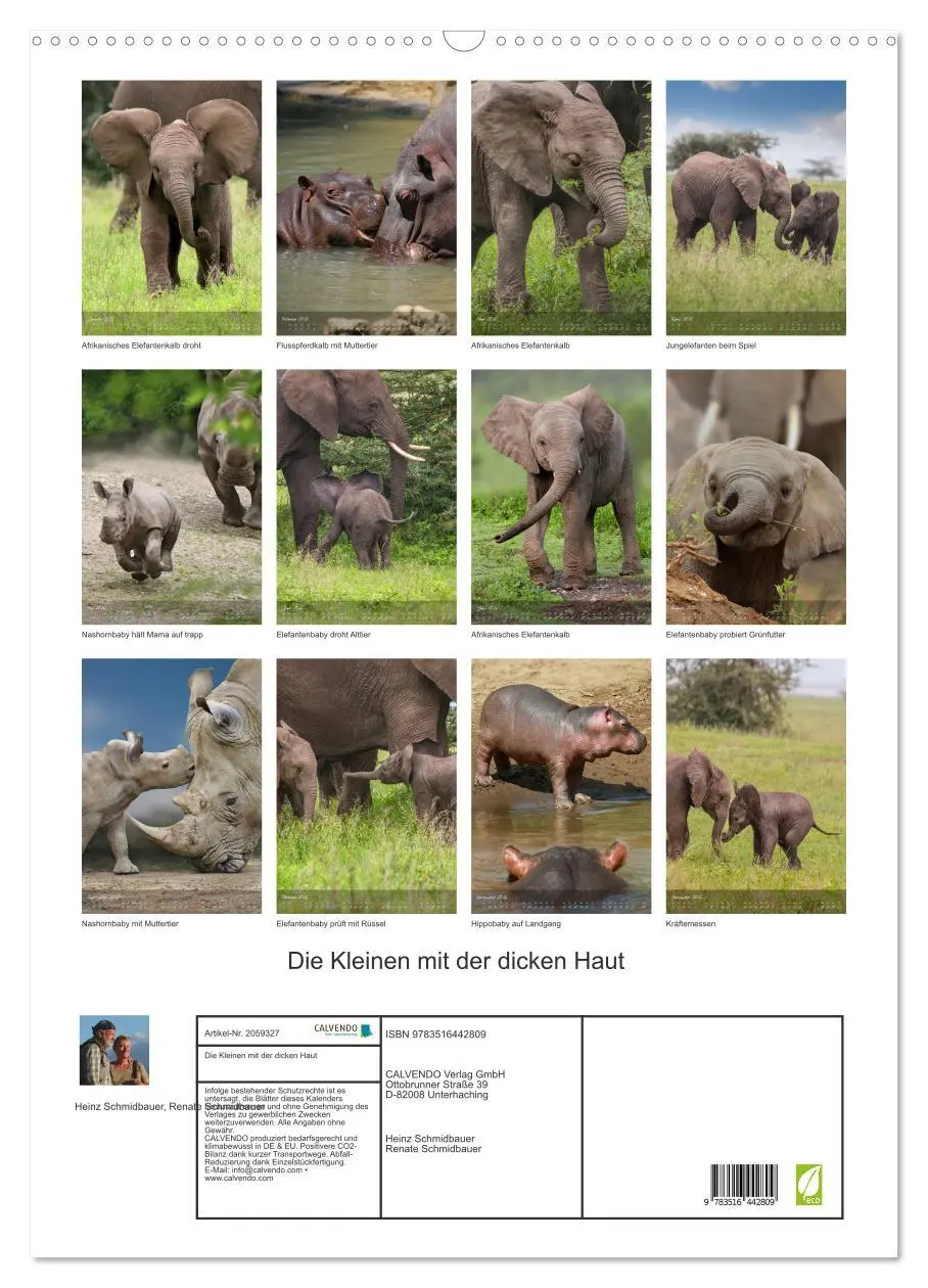 Bild: 9783516442809 | Die Kleinen mit der dicken Haut (Wandkalender 2026 DIN A2 hoch),...