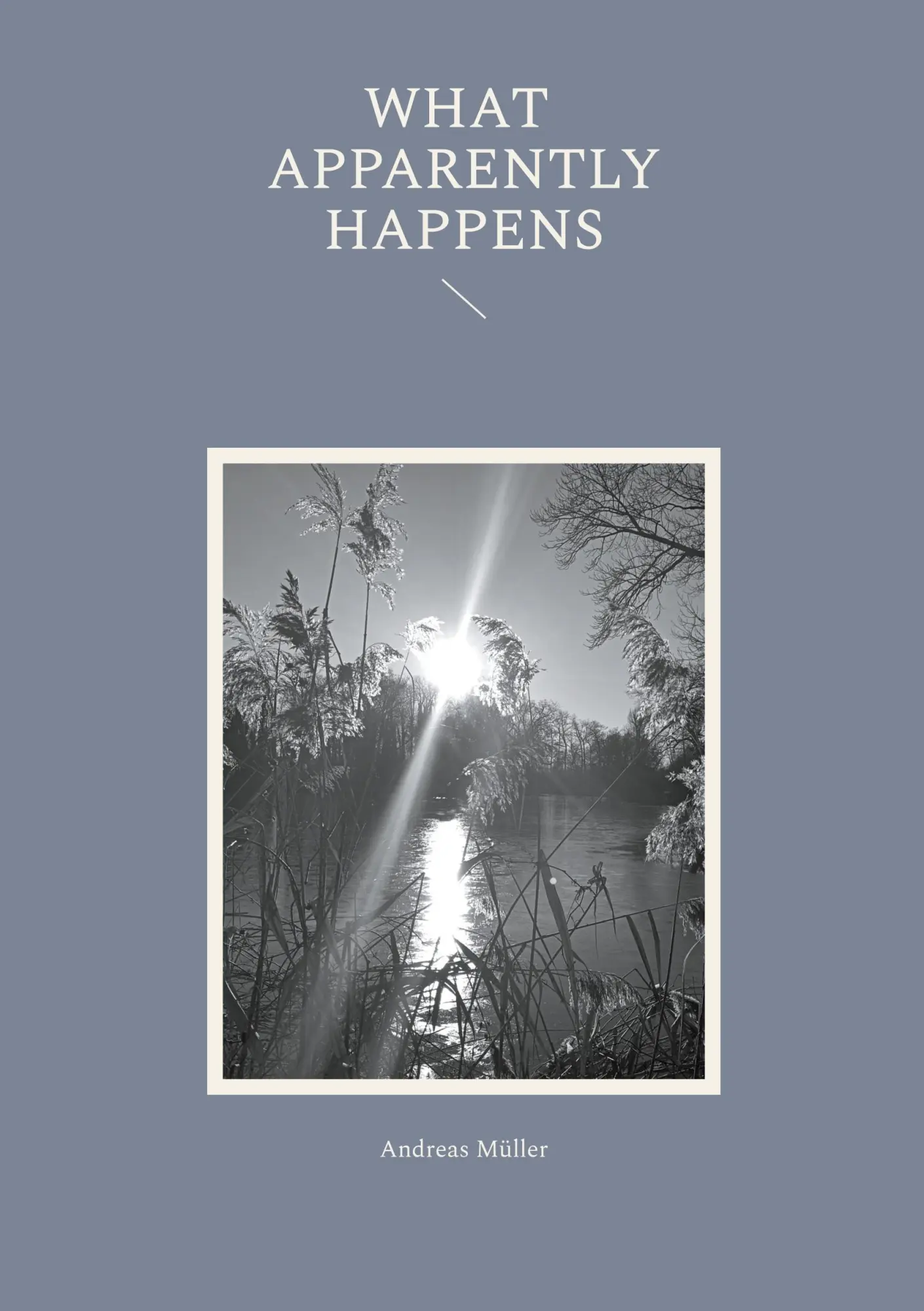 Cover: 9783695712809 | What apparently happens | Andreas Müller | Taschenbuch | Englisch