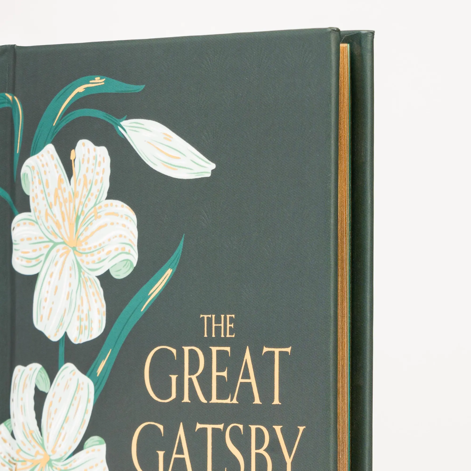 Bild: 9781454952909 | The Great Gatsby (Special Edition) | F Scott Fitzgerald | Buch | 2023