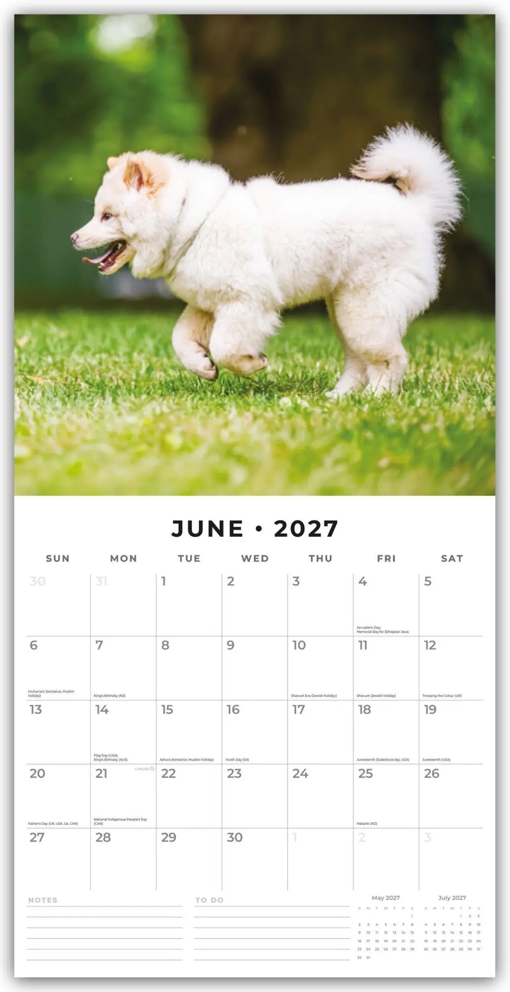 Bild: 9781837012909 | Samoyeds - Samojede - Samojedenspitz 2027 - 16-Monatskalender | Red