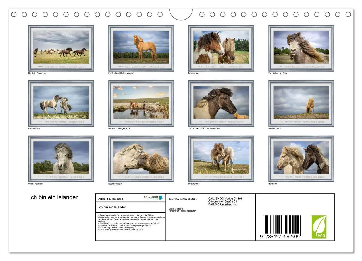 Bild: 9783457582909 | Ich bin ein Isländer (Wandkalender 2026 DIN A4 quer), CALVENDO...