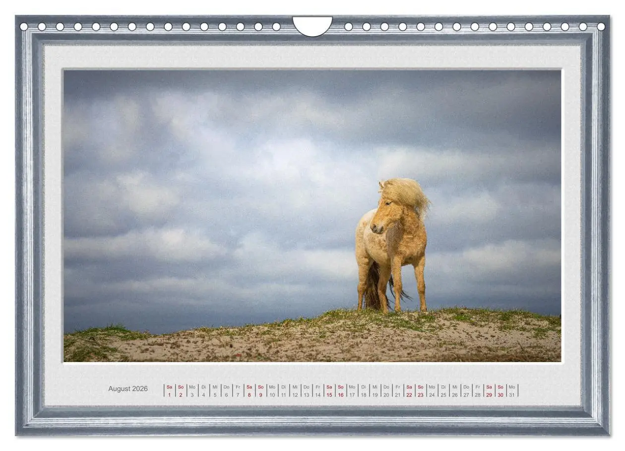 Bild: 9783457582909 | Ich bin ein Isländer (Wandkalender 2026 DIN A4 quer), CALVENDO...