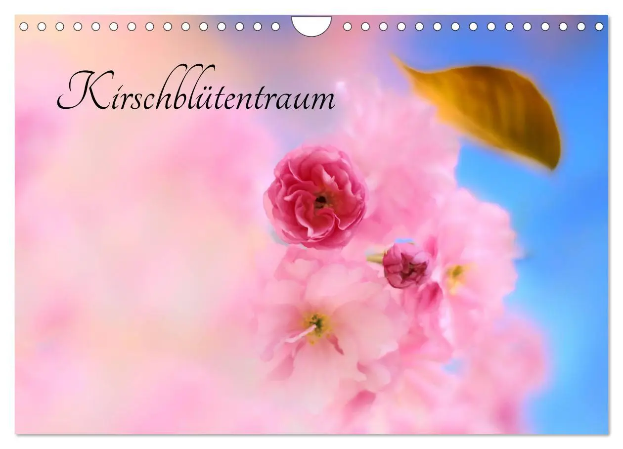 Cover: 9783457892909 | Kirschblütentraum (Wandkalender 2026 DIN A4 quer), CALVENDO...