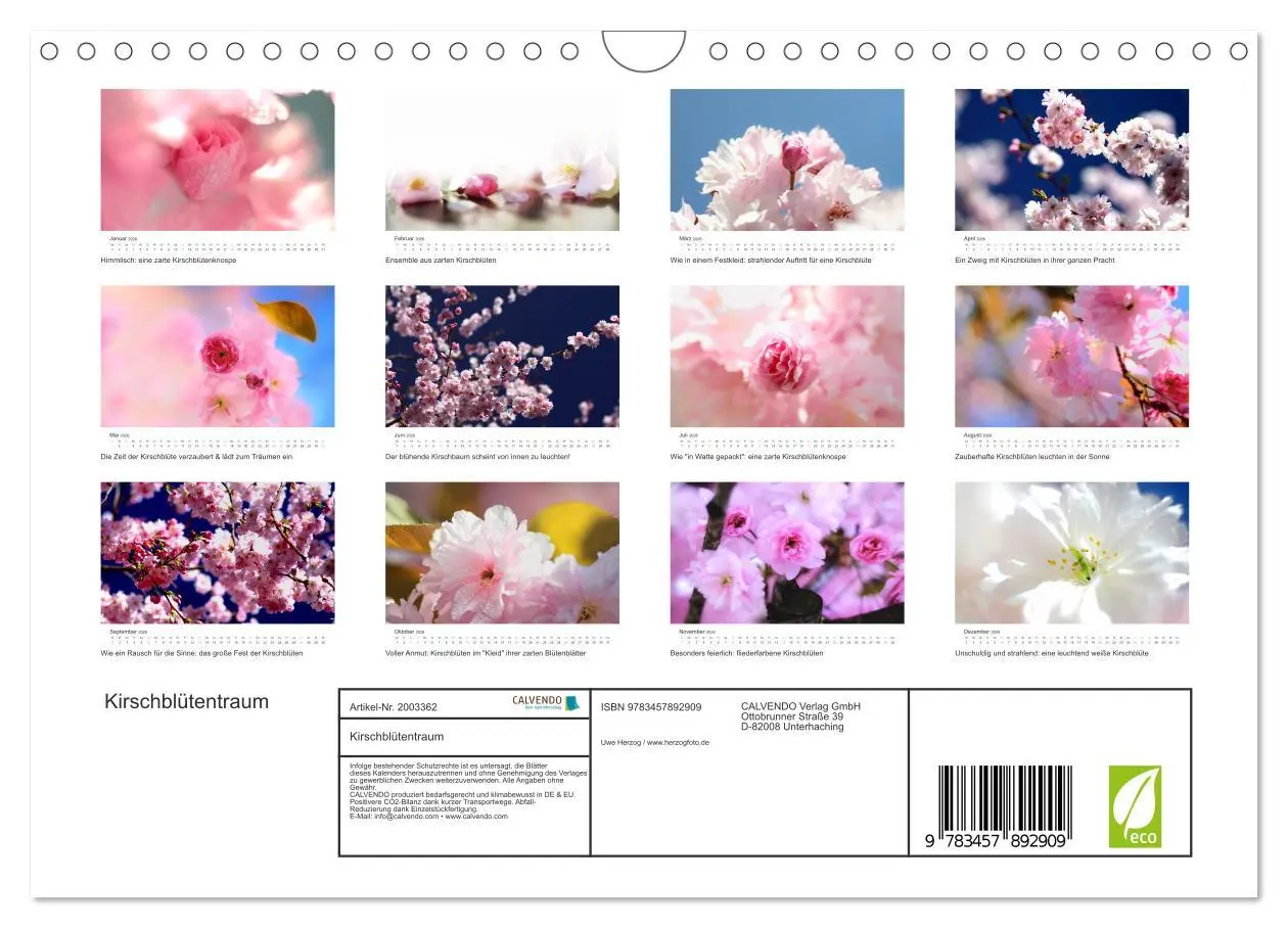 Bild: 9783457892909 | Kirschblütentraum (Wandkalender 2026 DIN A4 quer), CALVENDO...