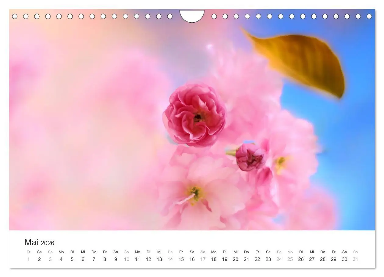 Bild: 9783457892909 | Kirschblütentraum (Wandkalender 2026 DIN A4 quer), CALVENDO...