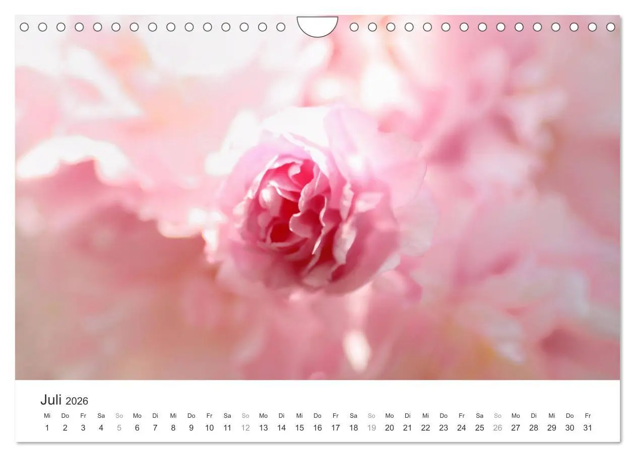 Bild: 9783457892909 | Kirschblütentraum (Wandkalender 2026 DIN A4 quer), CALVENDO...