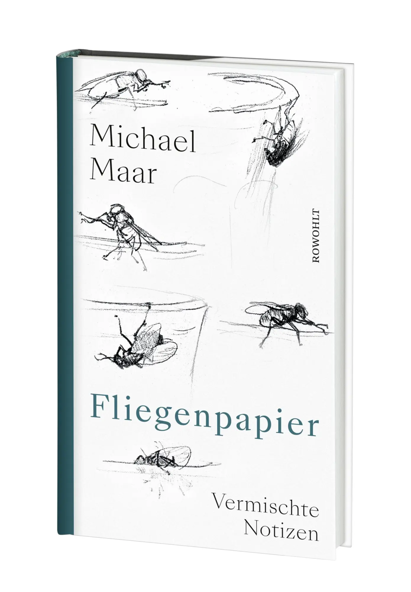 Bild: 9783498002909 | Fliegenpapier | Vermischte Notizen | Michael Maar | Buch | 128 S.