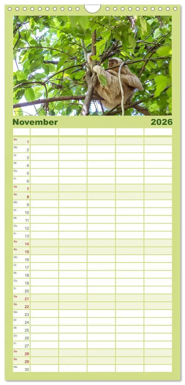 Bild: 9783516502909 | Familienplaner 2026 - Costa Rica - Tierwelt und Landschaften mit 5...