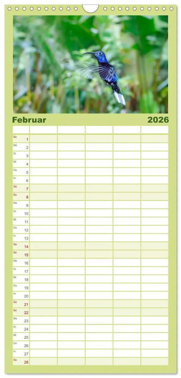 Bild: 9783516502909 | Familienplaner 2026 - Costa Rica - Tierwelt und Landschaften mit 5...