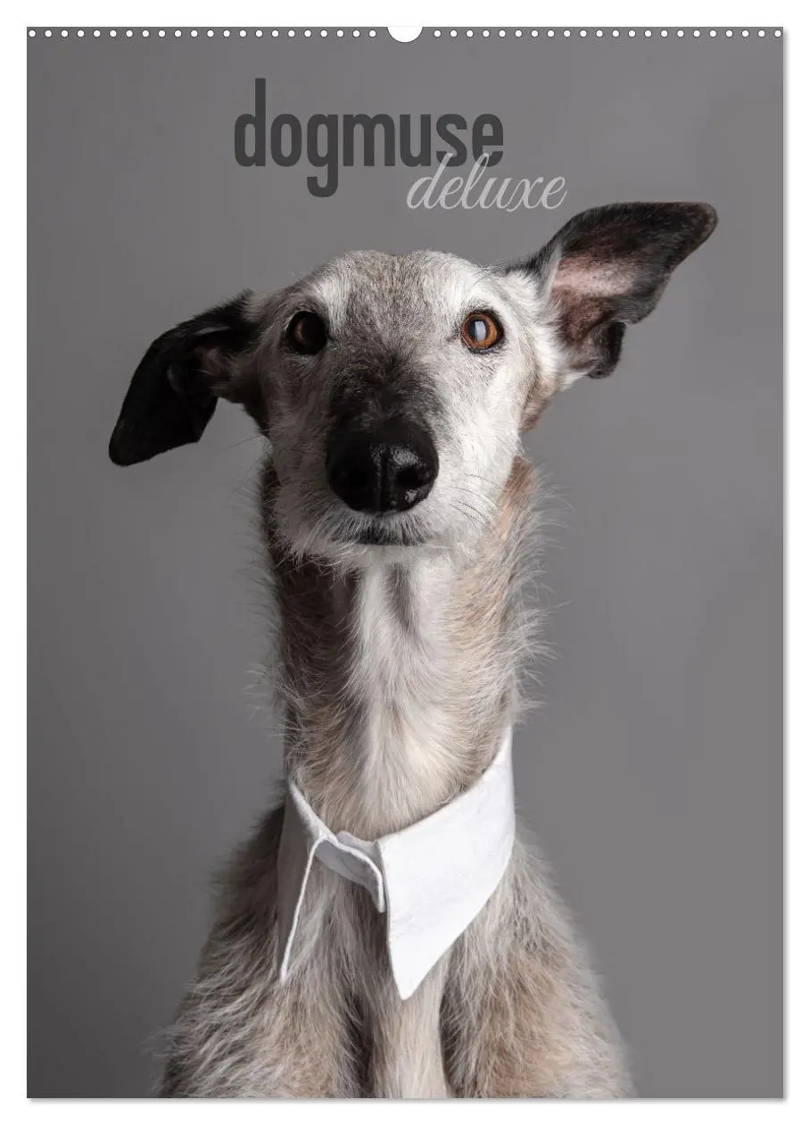 Cover: 9783457303009 | dogmuse deluxe (Wandkalender 2026 DIN A2 hoch), CALVENDO...