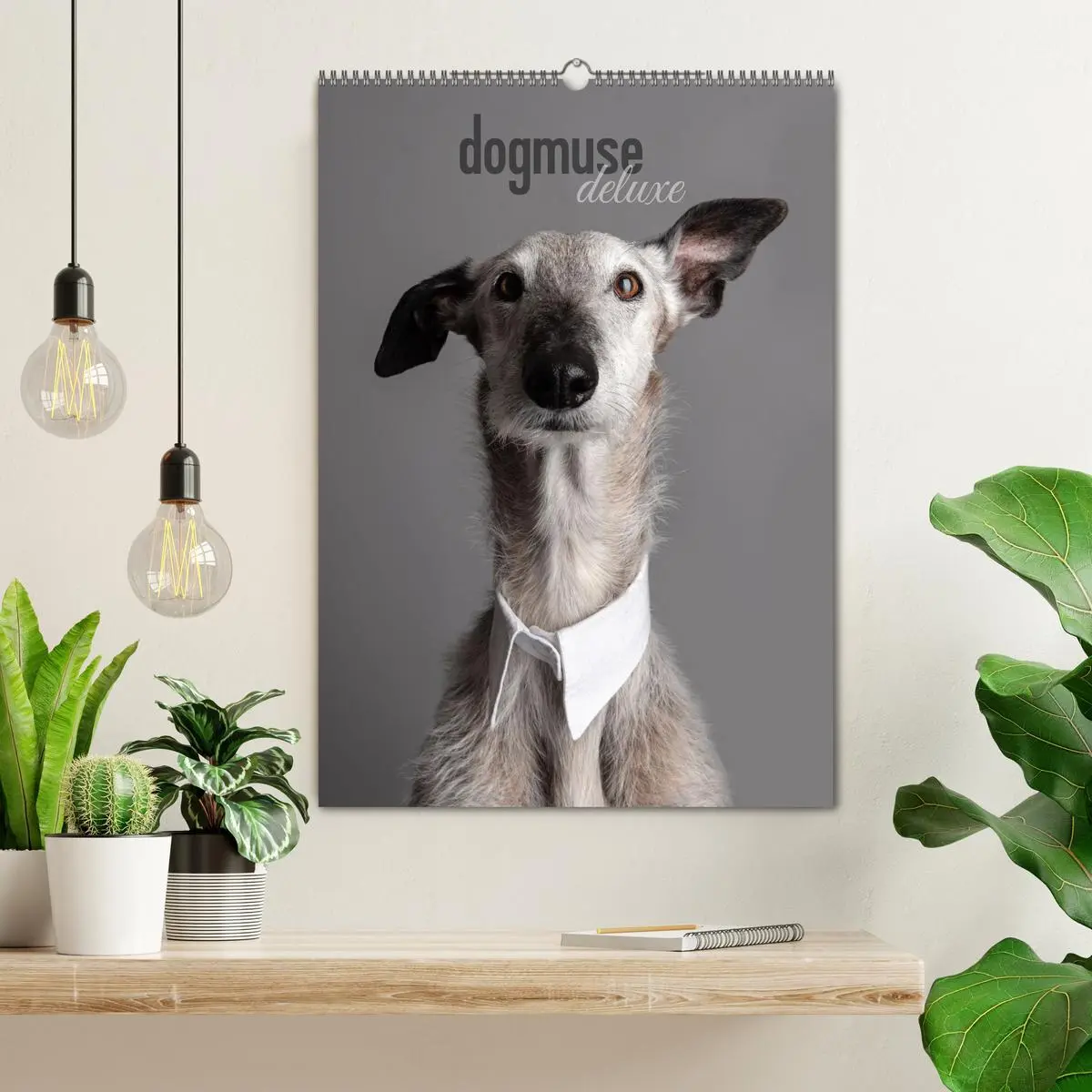 Bild: 9783457303009 | dogmuse deluxe (Wandkalender 2026 DIN A2 hoch), CALVENDO...
