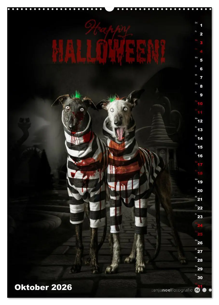 Bild: 9783457303009 | dogmuse deluxe (Wandkalender 2026 DIN A2 hoch), CALVENDO...