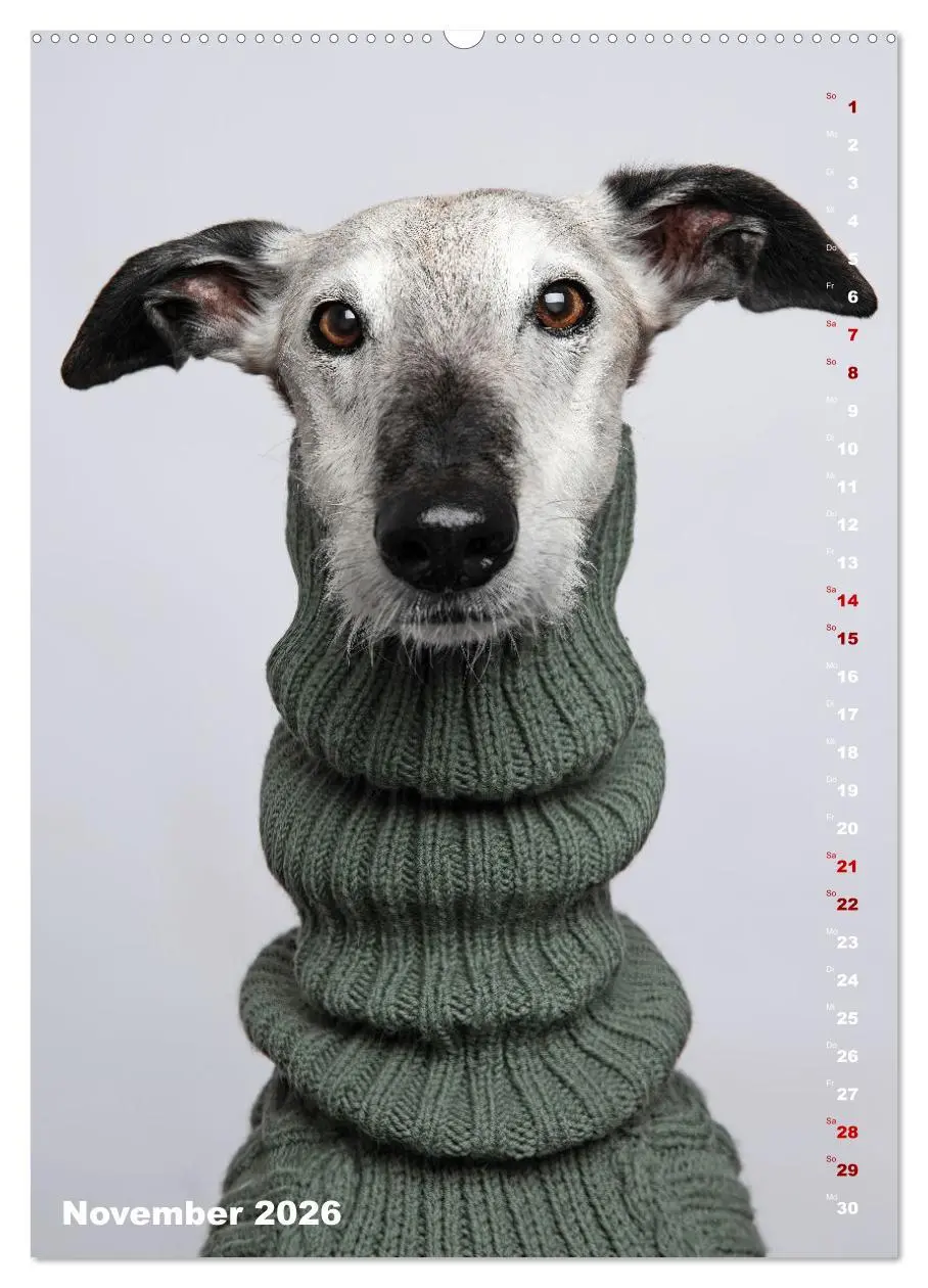 Bild: 9783457303009 | dogmuse deluxe (Wandkalender 2026 DIN A2 hoch), CALVENDO...