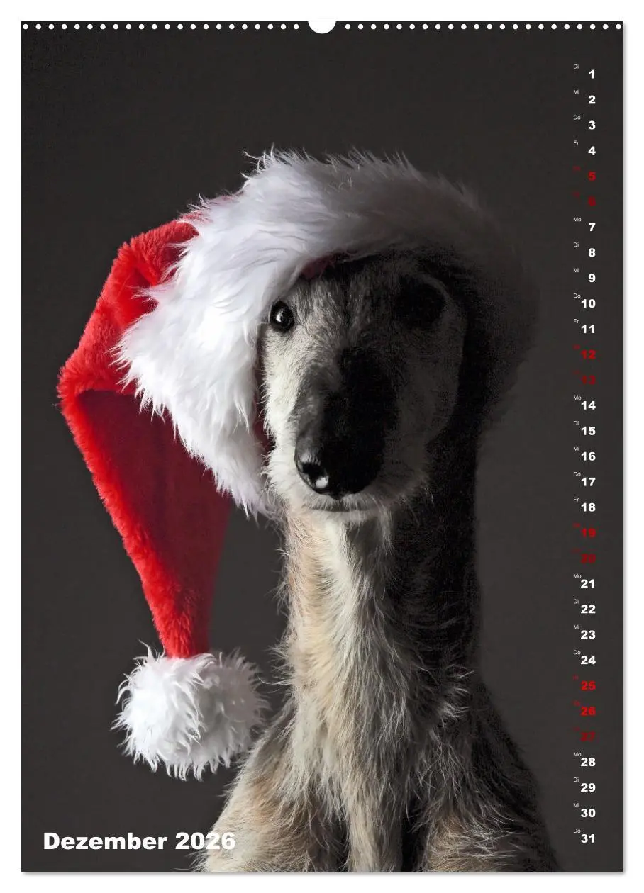 Bild: 9783457303009 | dogmuse deluxe (Wandkalender 2026 DIN A2 hoch), CALVENDO...