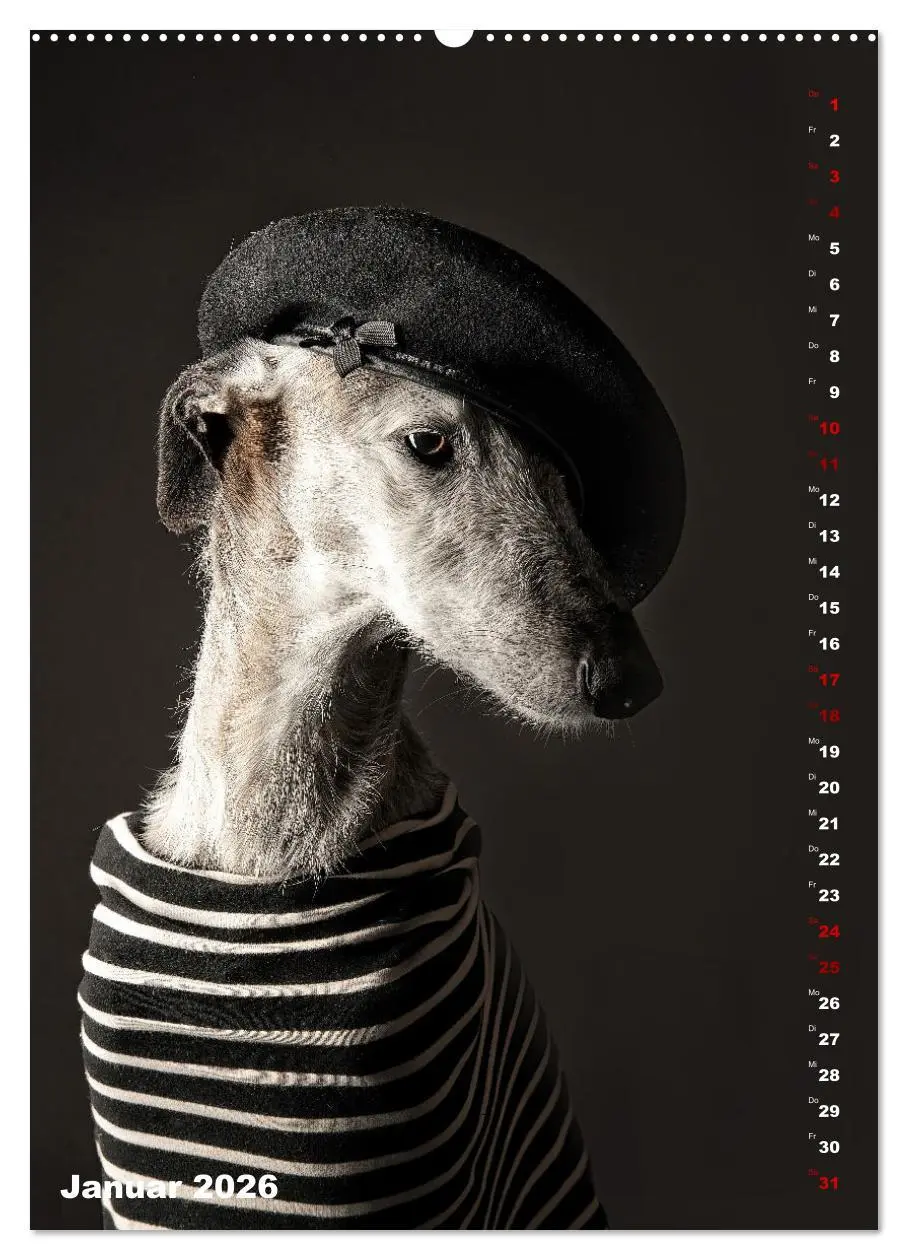 Bild: 9783457303009 | dogmuse deluxe (Wandkalender 2026 DIN A2 hoch), CALVENDO...
