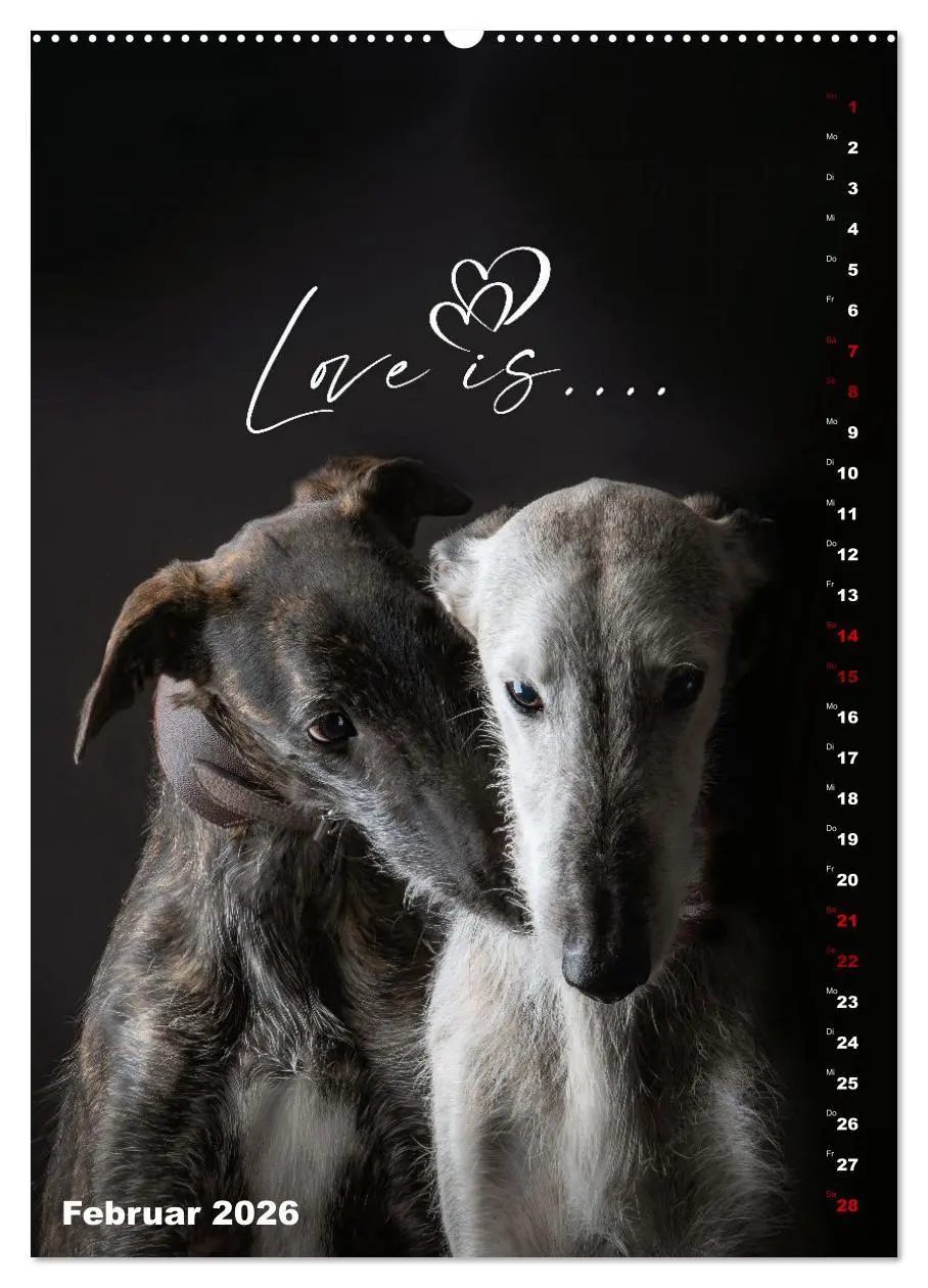 Bild: 9783457303009 | dogmuse deluxe (Wandkalender 2026 DIN A2 hoch), CALVENDO...