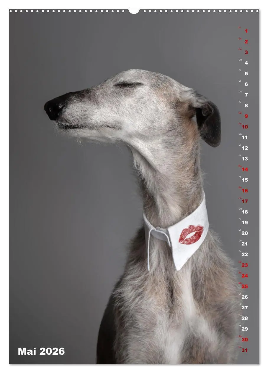 Bild: 9783457303009 | dogmuse deluxe (Wandkalender 2026 DIN A2 hoch), CALVENDO...
