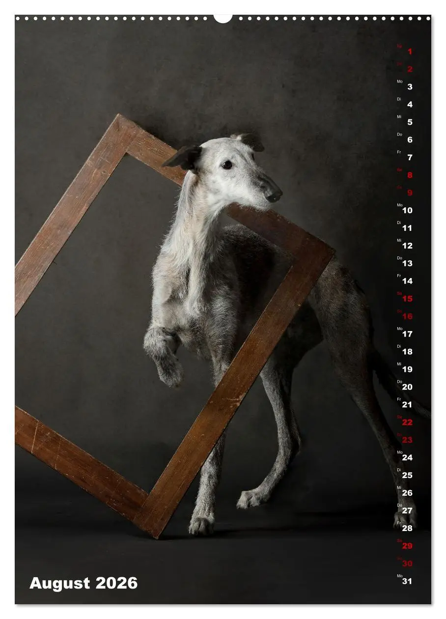 Bild: 9783457303009 | dogmuse deluxe (Wandkalender 2026 DIN A2 hoch), CALVENDO...