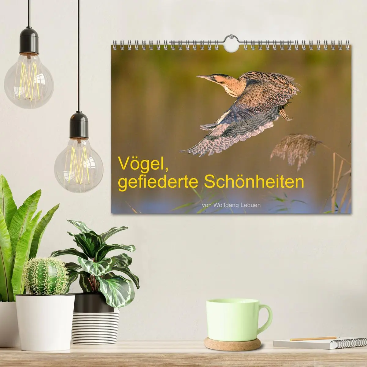 Bild: 9783457613009 | Vögel, Gefiederte Schönheiten (Wandkalender 2026 DIN A4 quer),...