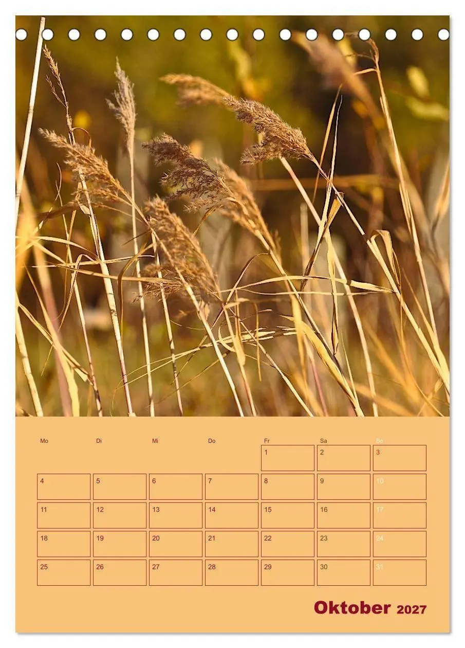 Bild: 9783594083109 | Wald- und Wiesenkalender 2027 Planer (Tischkalender 2027 DIN A5...