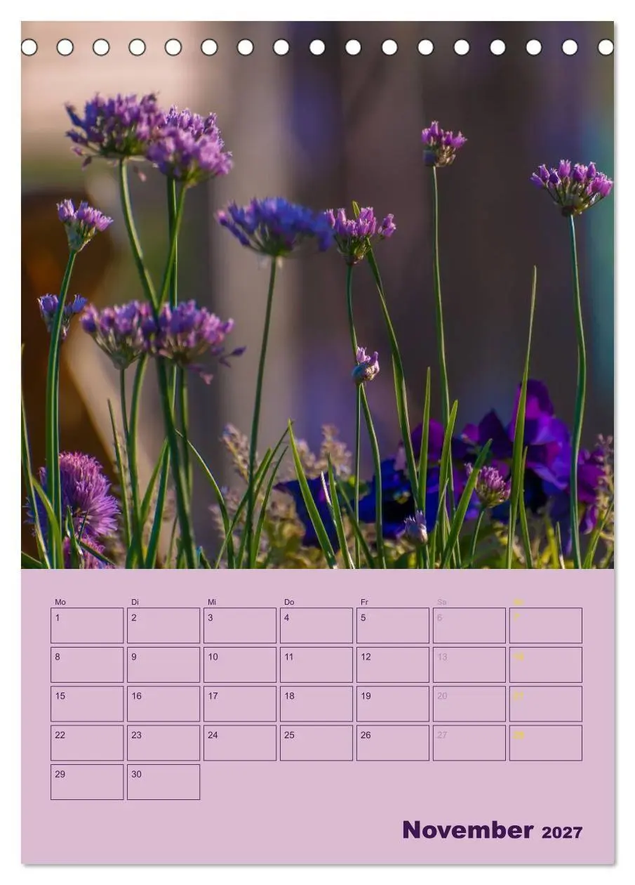 Bild: 9783594083109 | Wald- und Wiesenkalender 2027 Planer (Tischkalender 2027 DIN A5...