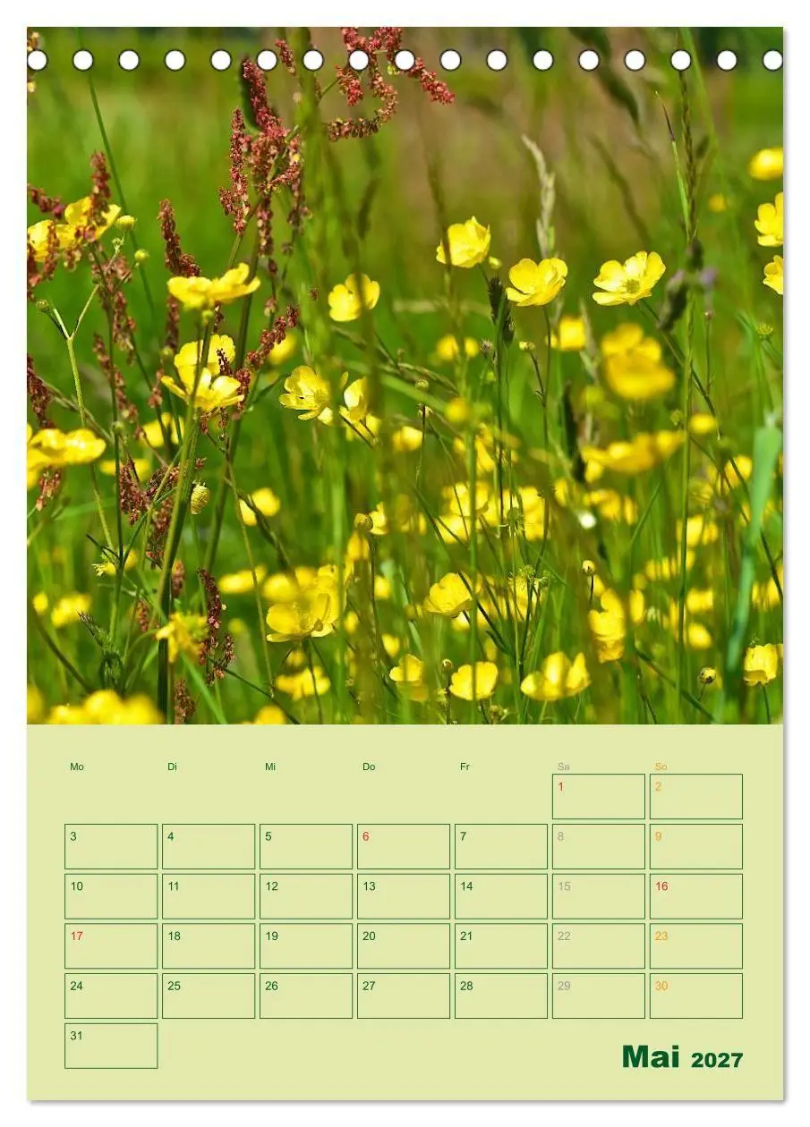 Bild: 9783594083109 | Wald- und Wiesenkalender 2027 Planer (Tischkalender 2027 DIN A5...