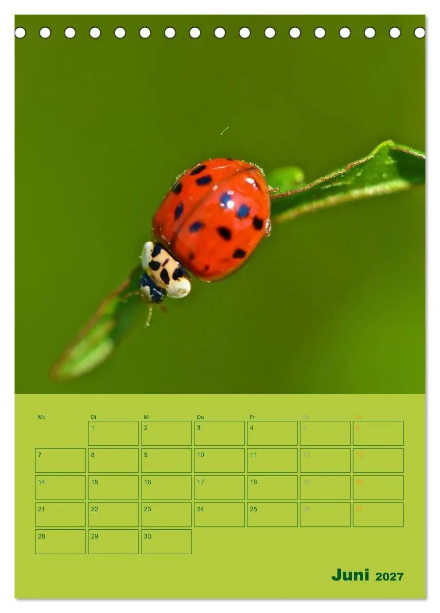 Bild: 9783594083109 | Wald- und Wiesenkalender 2027 Planer (Tischkalender 2027 DIN A5...