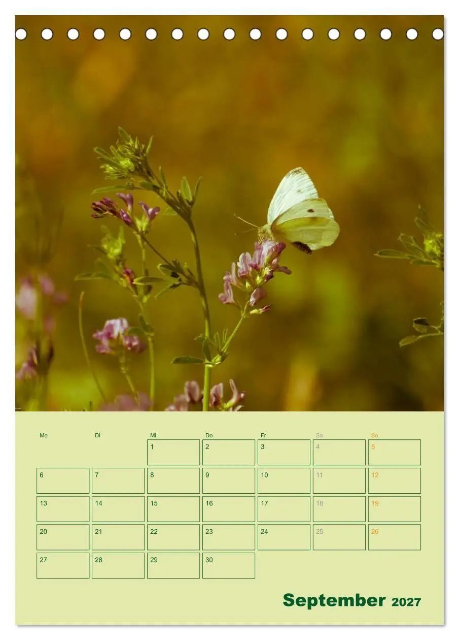 Bild: 9783594083109 | Wald- und Wiesenkalender 2027 Planer (Tischkalender 2027 DIN A5...