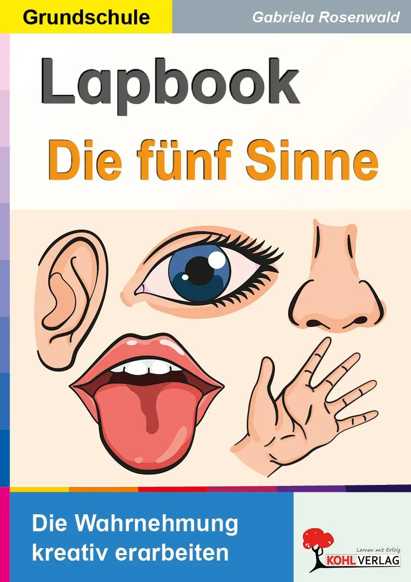 Cover: 9783988413109 | Lapbook Die fünf Sinne | Die Wahrnehmung kreativ erarbeiten | Buch