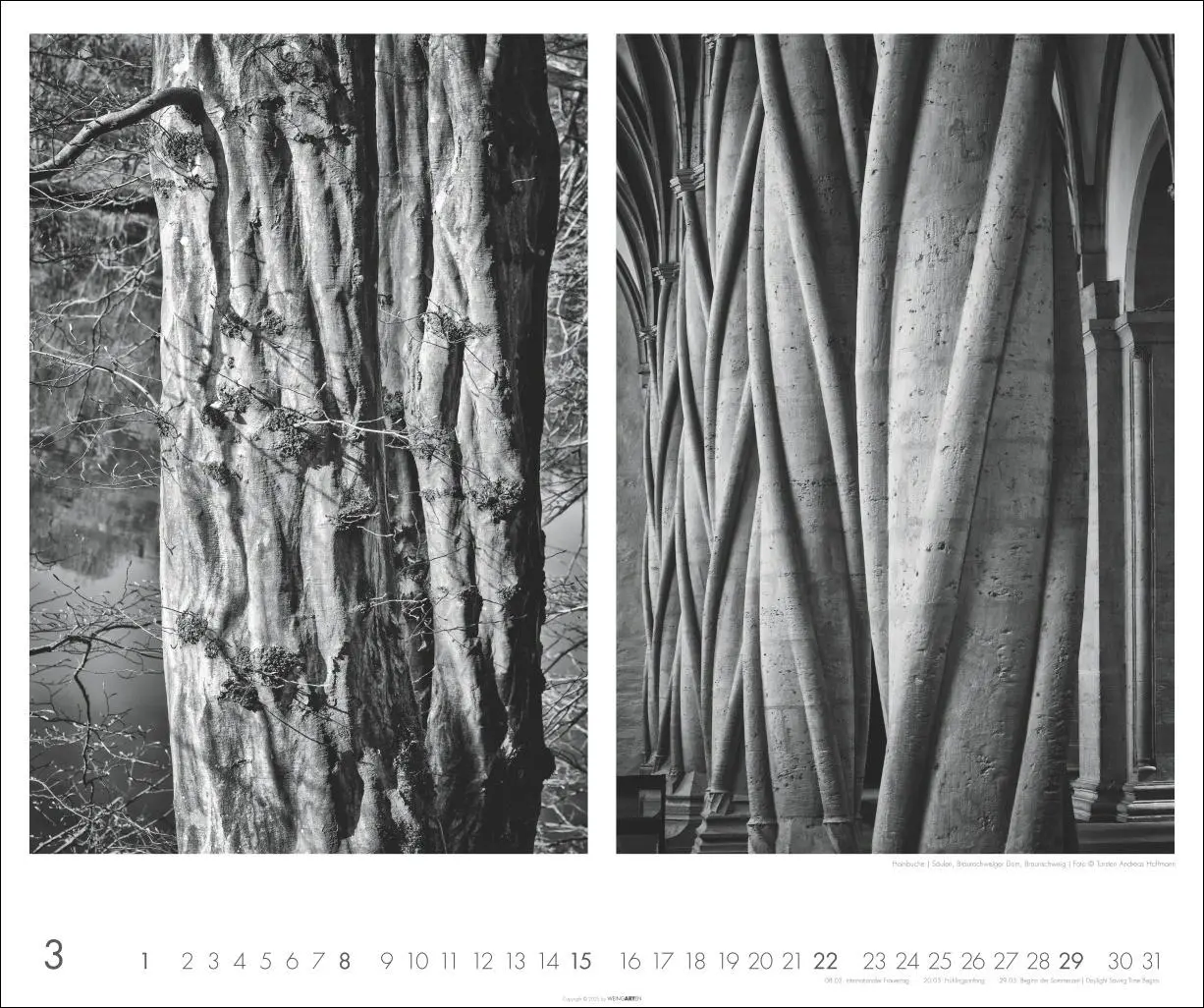 Bild: 9783839903209 | Natur : Architektur Kalender 2026 | Torsten A. Hoffmann | Kalender