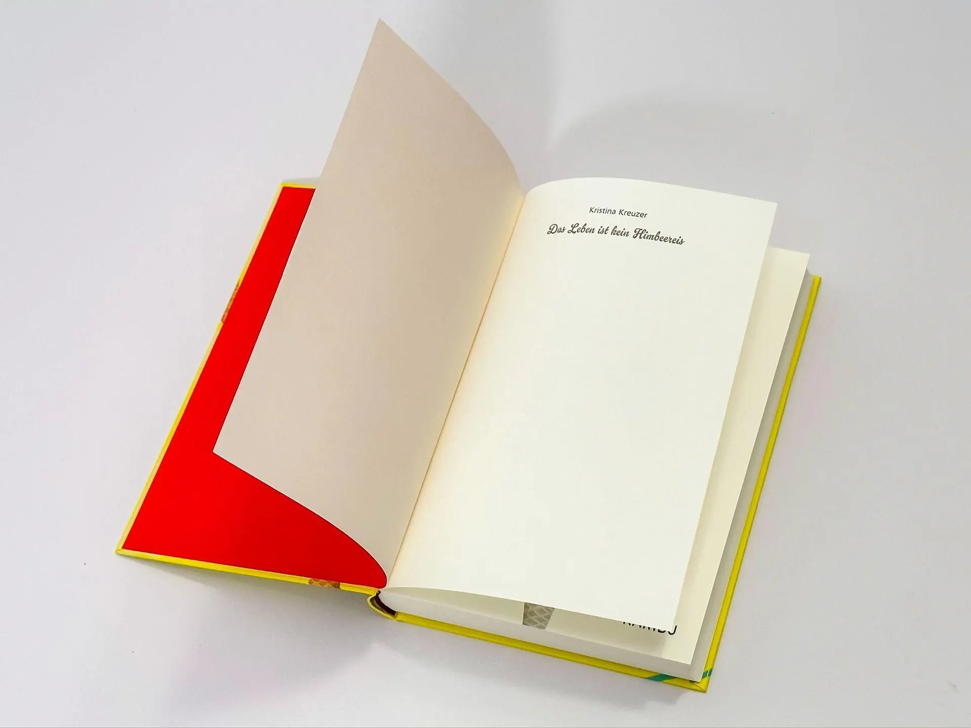 Bild: 9783961293209 | Das Leben ist kein Himbeereis | Kristina Kreuzer | Buch | 288 S.