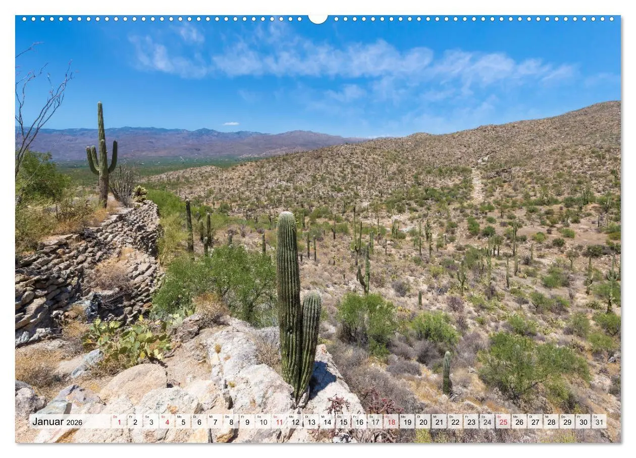 Bild: 9783457683309 | SAGUARO NATIONAL PARK Heimat des Saguaro-Kaktus (hochwertiger...