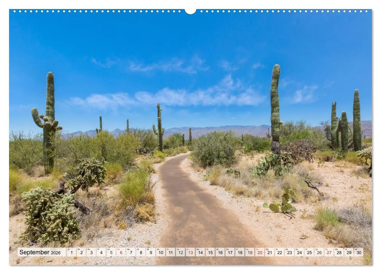 Bild: 9783457683309 | SAGUARO NATIONAL PARK Heimat des Saguaro-Kaktus (hochwertiger...