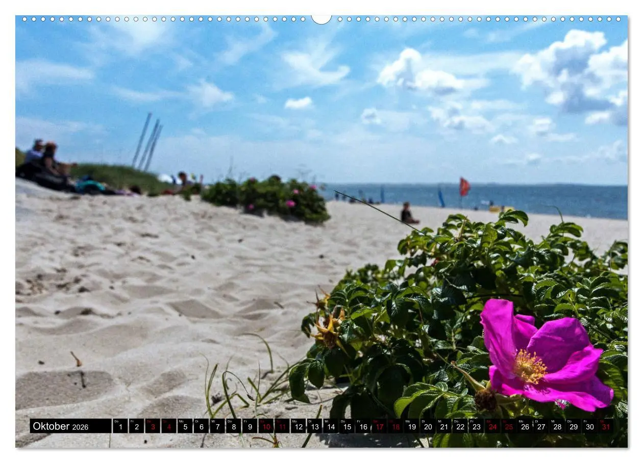 Bild: 9783457823309 | Magisches Sylt (Wandkalender 2026 DIN A2 quer), CALVENDO...