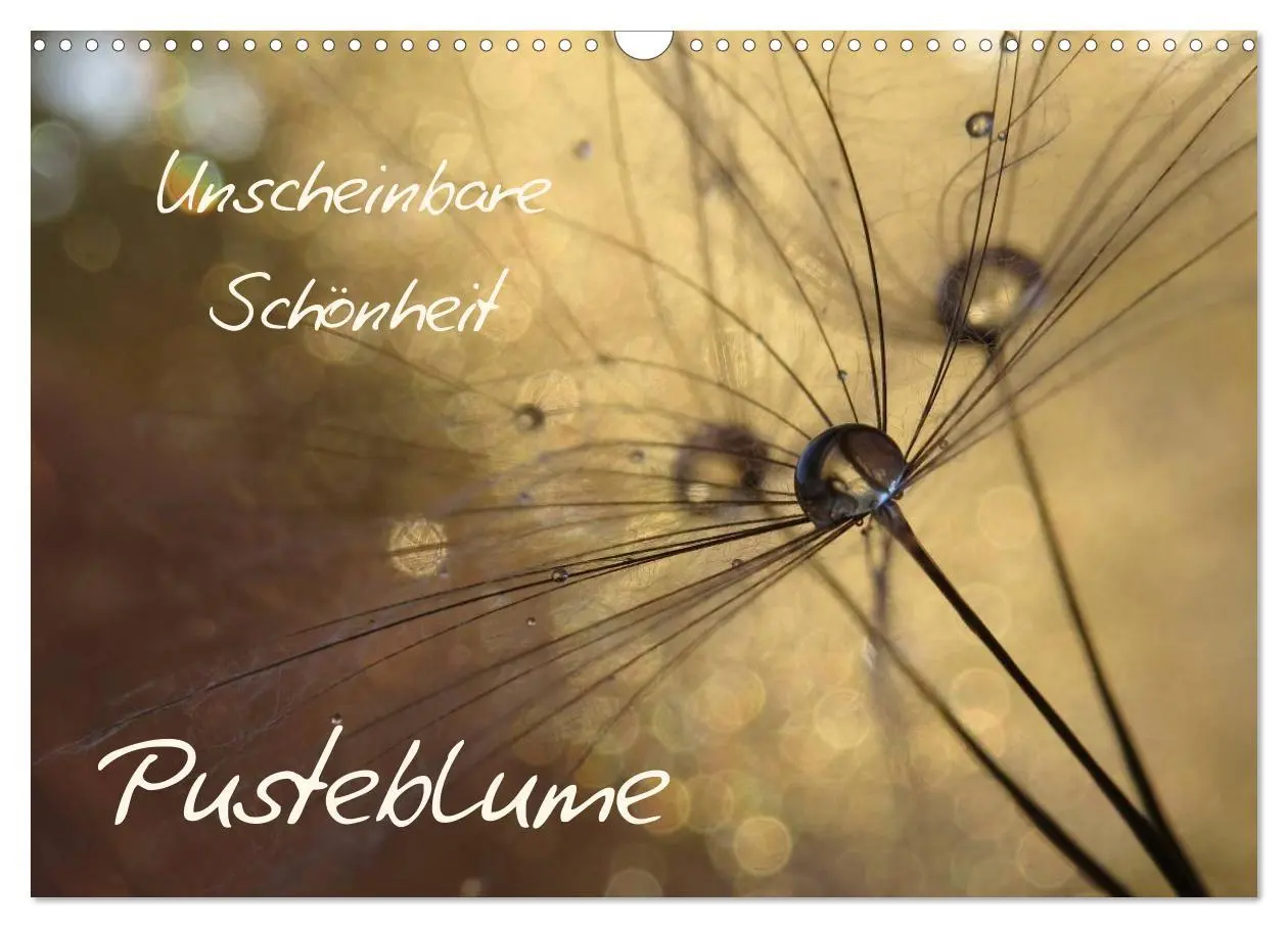 Cover: 9783516083309 | Unscheinbare Schönheit - Pusteblume (Wandkalender 2026 DIN A3...
