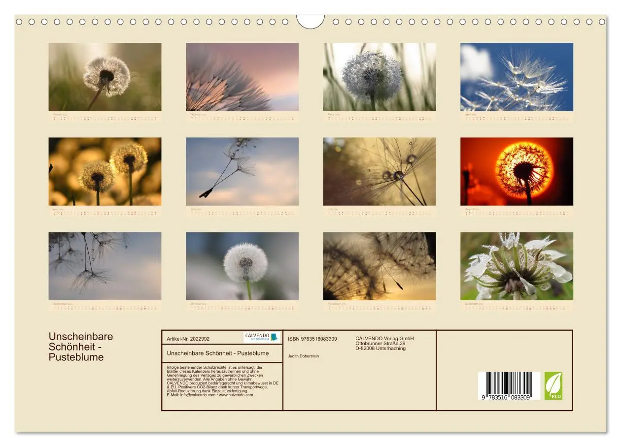 Bild: 9783516083309 | Unscheinbare Schönheit - Pusteblume (Wandkalender 2026 DIN A3...