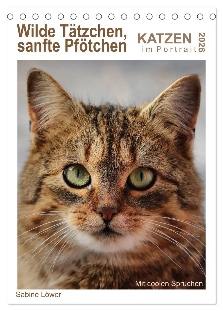 Cover: 9783516393309 | Wilde Tätzchen, sanfte Pfötchen (Tischkalender 2026 DIN A5 hoch),...