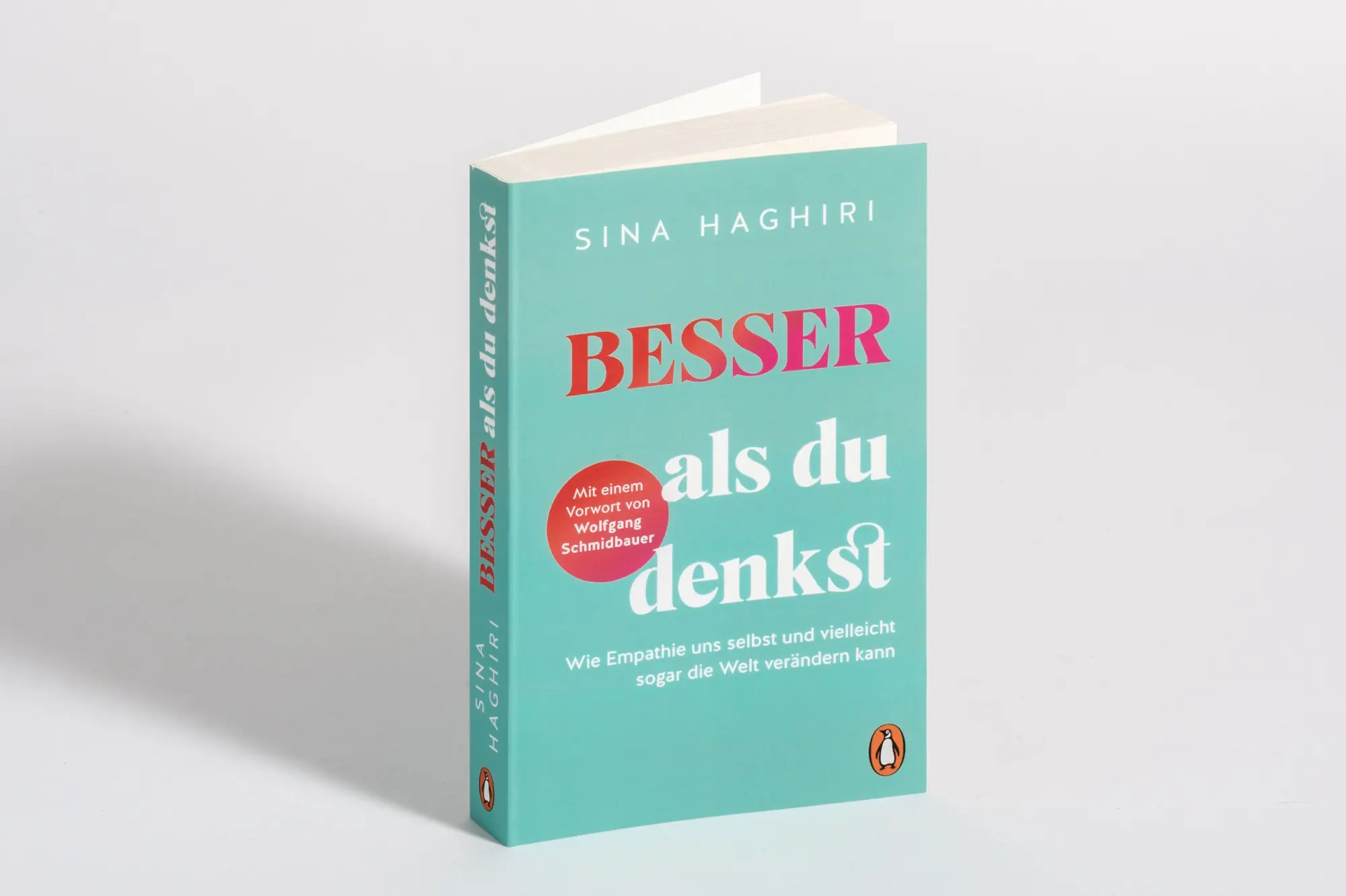Bild: 9783328113409 | Besser als du denkst | Sina Haghiri | Taschenbuch | 272 S. | Deutsch