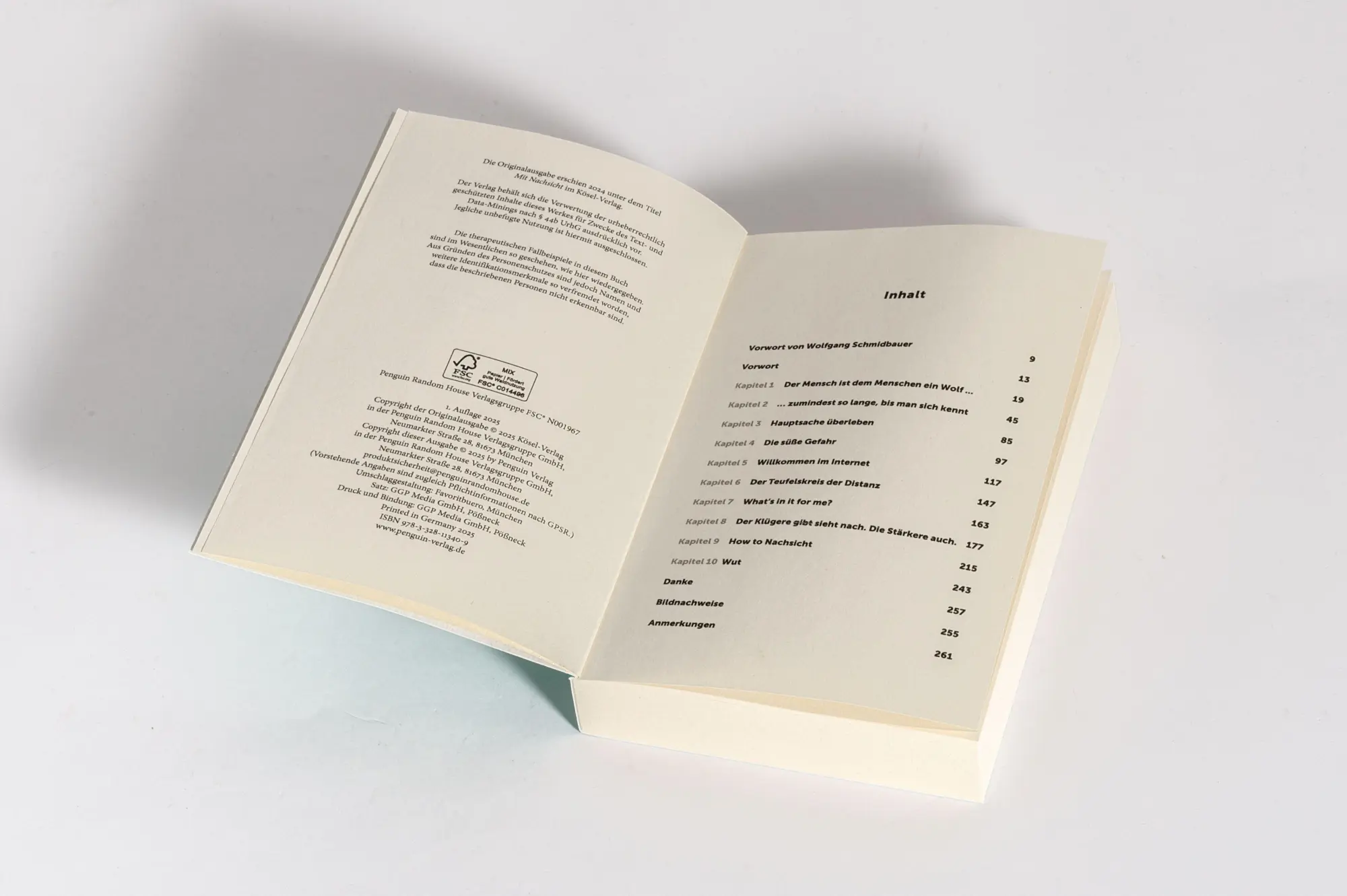Bild: 9783328113409 | Besser als du denkst | Sina Haghiri | Taschenbuch | 272 S. | Deutsch