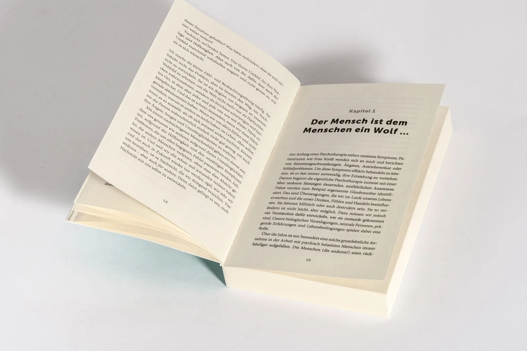 Bild: 9783328113409 | Besser als du denkst | Sina Haghiri | Taschenbuch | 272 S. | Deutsch