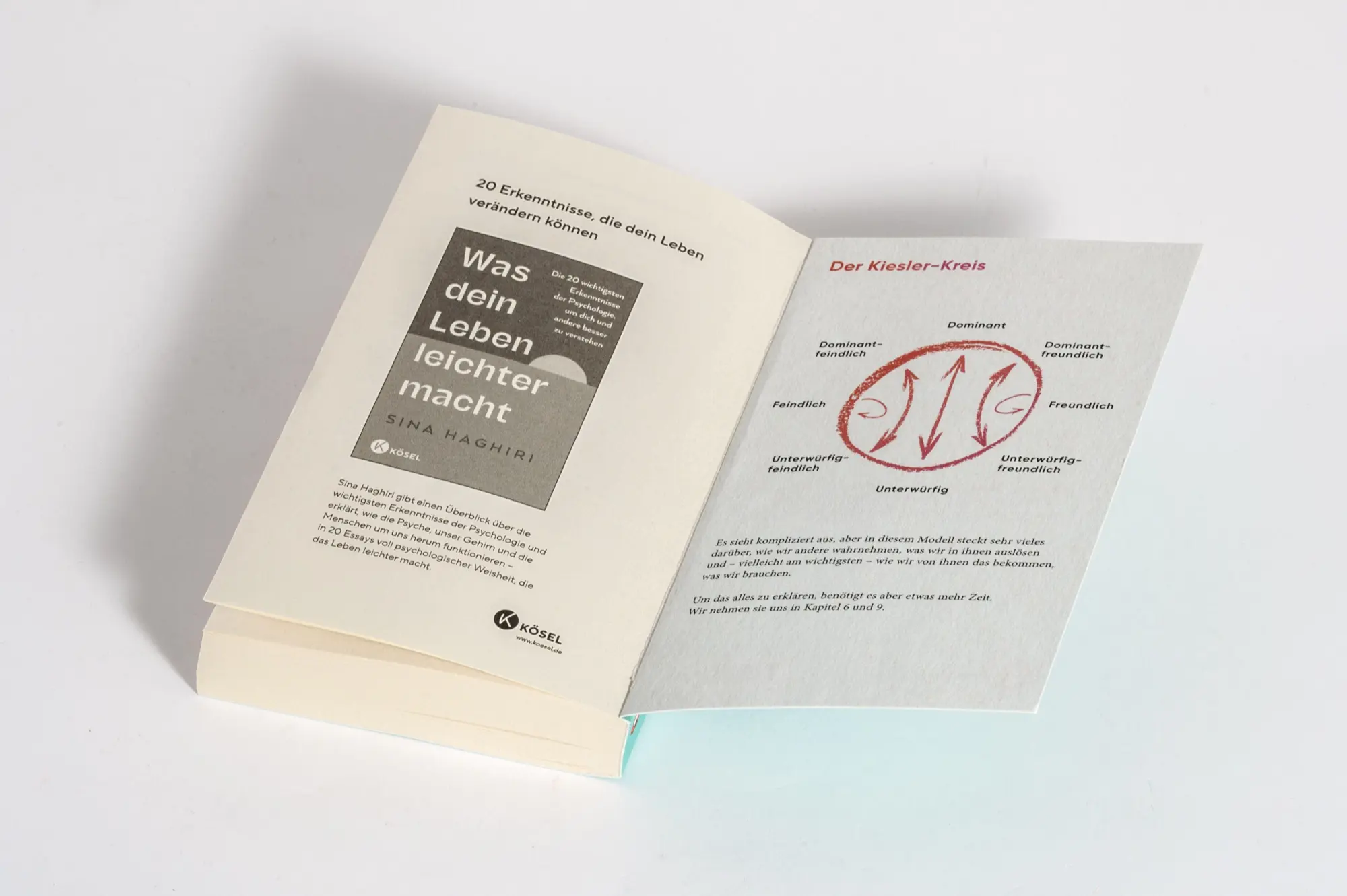 Bild: 9783328113409 | Besser als du denkst | Sina Haghiri | Taschenbuch | 272 S. | Deutsch